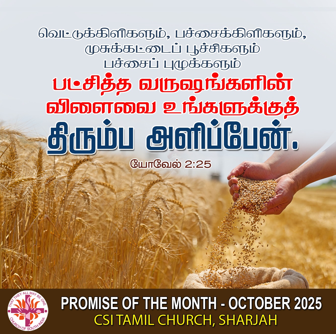 WhatsApp Image 2025-10-07 at 11.45.59 AM